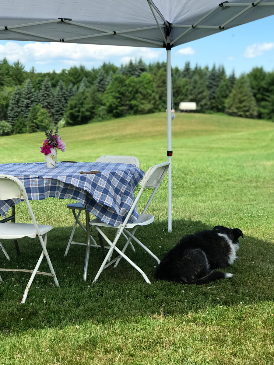 photo of a table and chairs with a table checkered table cloth and flower arrangement