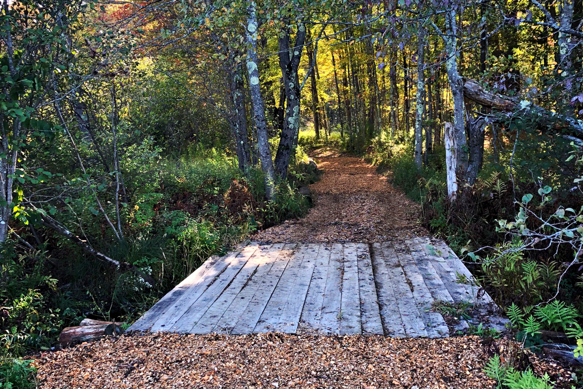 photo of a section of the walking trail