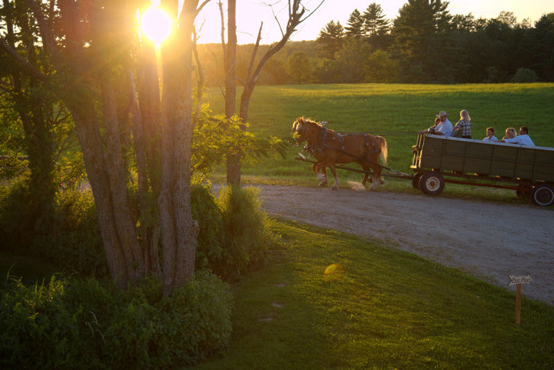 people taking a wagon ride around the farm