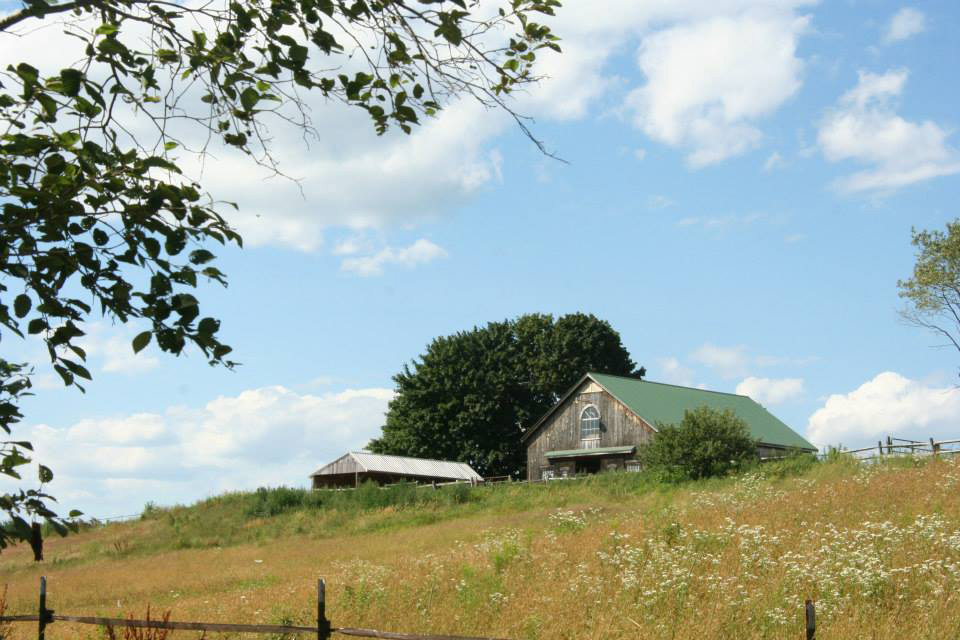 spring creek barn and grassy hill