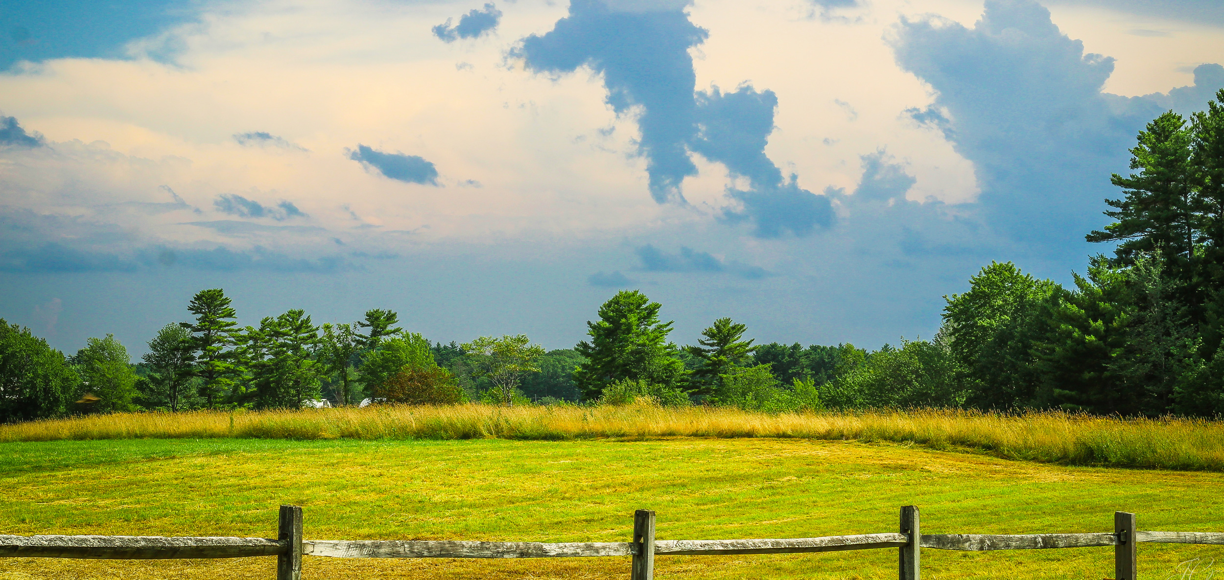 field and fence