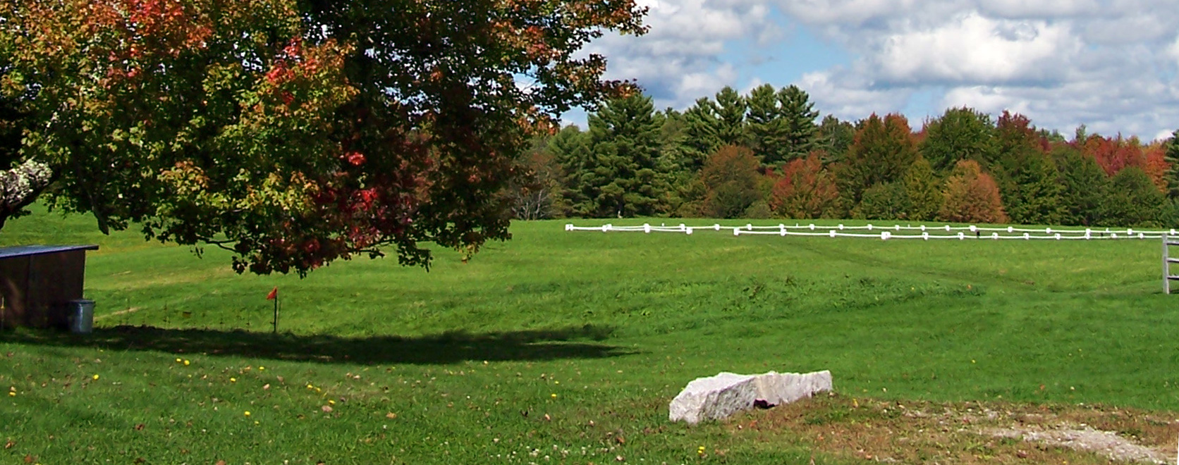 sunny photo of a field